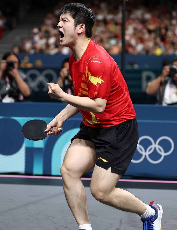 樊振东转会杜塞尔多夫 日媒盛赞其“稀世天才”