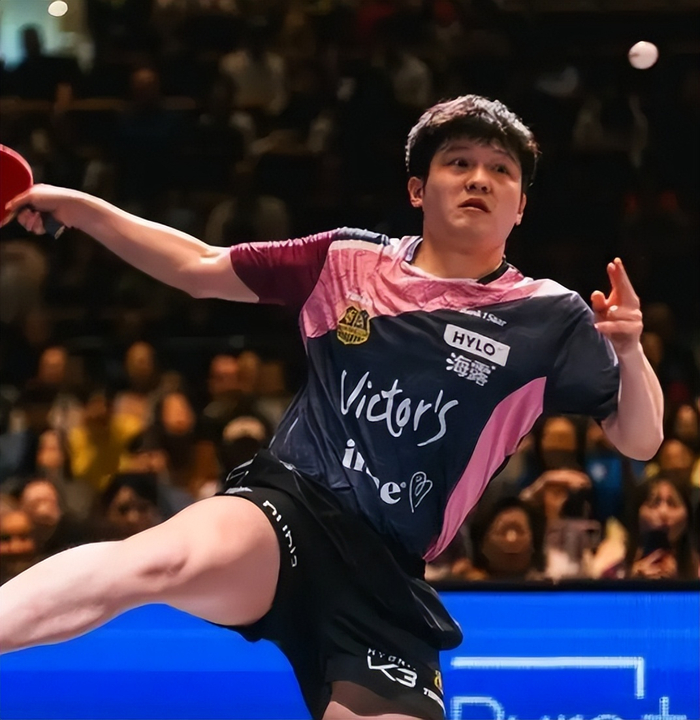 樊振东转会杜塞尔多夫 日媒盛赞其“稀世天才”